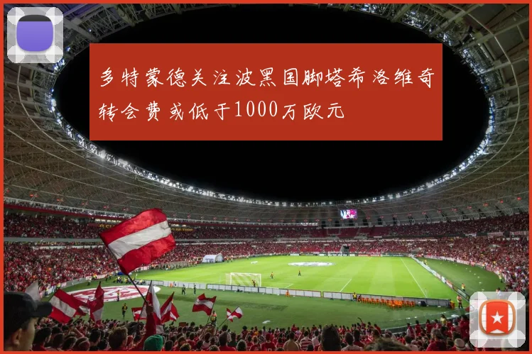 多特蒙德关注波黑国脚塔希洛维奇转会费或低于1000万欧元