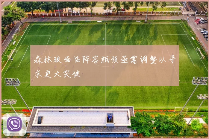森林狼面临阵容瓶颈亟需调整以寻求更大突破